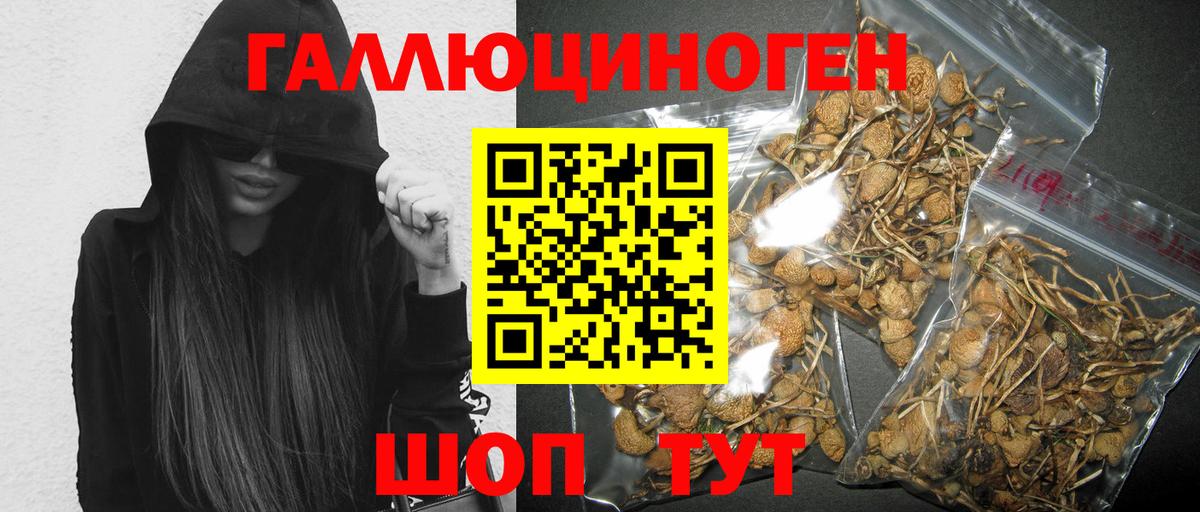 где найти наркотики  Галлюциногенные грибы ЛСД  Вход с VPN  Кировск 