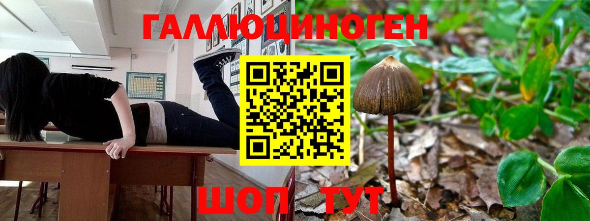 Галлюциногенные грибы ЛСД Кировск